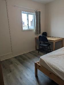 Multiple Rooms Private Bath Balcony Parking @York University - Photo 8
