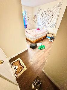 Room For Rent (On The Hill Uptown) Dog & Cat Friendly - Open Now - Photo 4