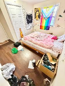 Room For Rent (On The Hill Uptown) Dog & Cat Friendly - Open Now - Photo 5