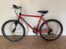 Bicycles for adults.