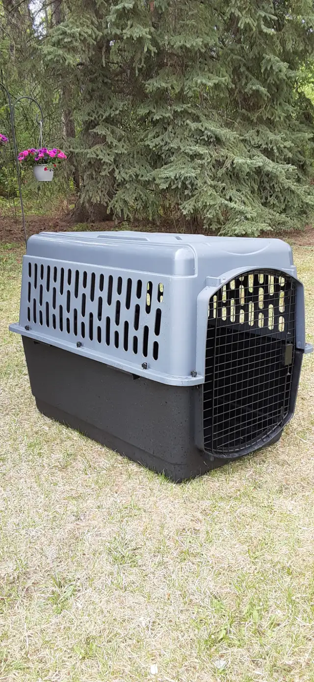DOG  CRATE