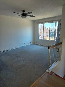 3 bedroom main level