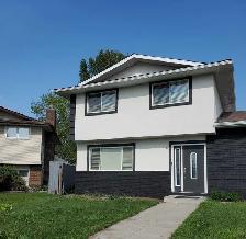Rads Stucco and Drywall Services