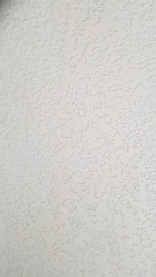 Rads Stucco and Drywall Services - Photo 8