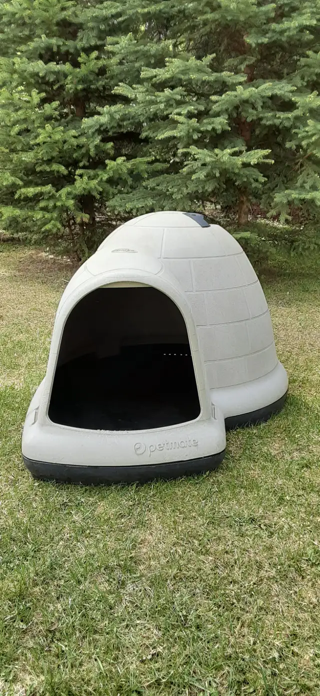 DOG HOUSE