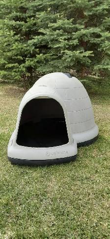 DOG HOUSE