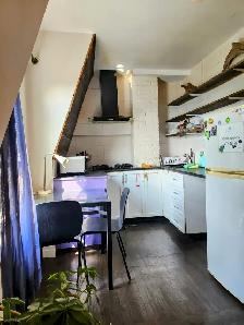 June 1st Furnished Monthly Room Rental – Casa Loma / Dovercourt - Photo 5