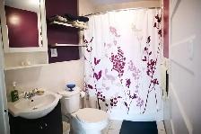 June 1st Furnished Monthly Room Rental – Casa Loma / Dovercourt - Photo 9