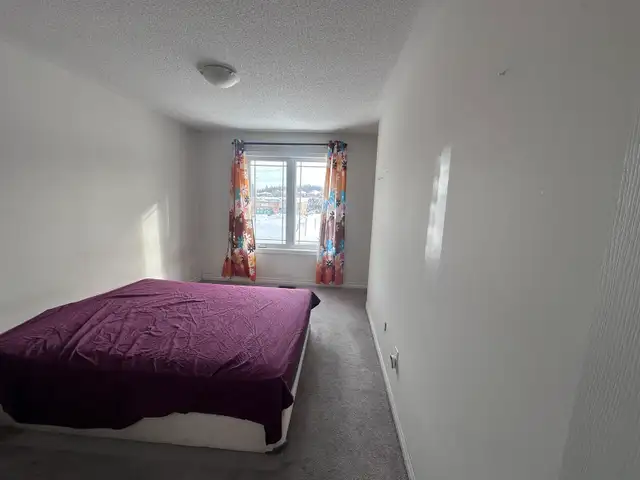 Large Room for rent in Barrie (South side - Mapleview & Essa)