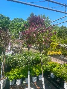 Landscape Maintenance technician - Photo 2