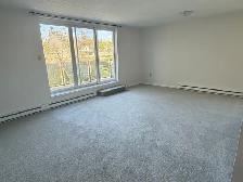 Uxbridge 1 and 2 bedroom apts in great location - Photo 3