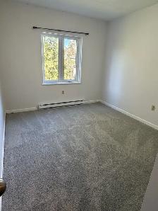Uxbridge 1 and 2 bedroom apts in great location - Photo 6