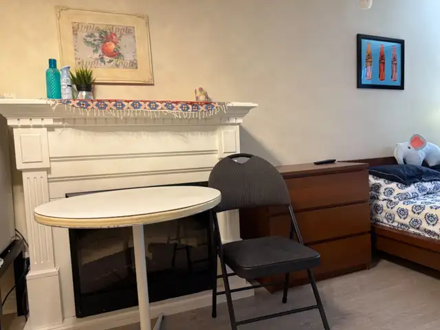 A Furnished Unit for a Professional -Yonge and Finch