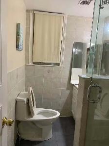 A Furnished Unit for a Professional -Yonge and Finch - Photo 3