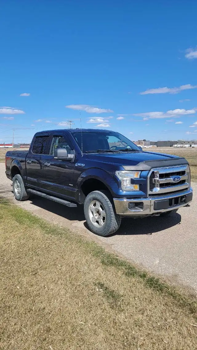 Saftied 2015 Ford f150