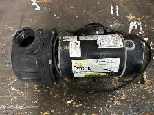 Dynamo 1 hp Pond / Pool / Spa pump