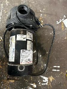 Dynamo 1 hp Pond / Pool / Spa pump - Photo 2