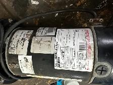 Dynamo 1 hp Pond / Pool / Spa pump - Photo 4