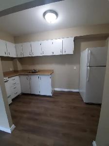 COMING SOON - ALL INCLUSIVE - TWO BDRM. - BROCKVILLE - Photo 7