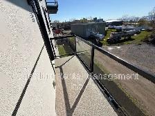 Available Now – $2,500/month 3-bedroom, 1-bath Apartment - Photo 23