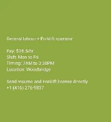 Manual picking   Forklift operator (Reach)