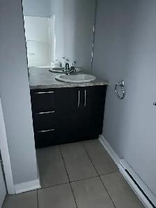 Condo 4 1/2 Salaberry (Entrepot Inclus) - Photo 8