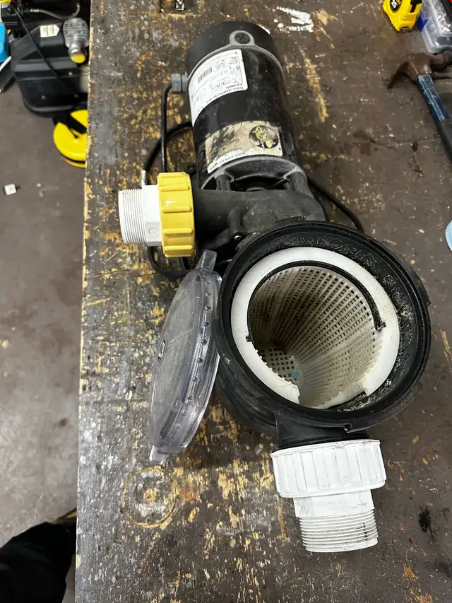 Dynamo 1HP Pool/Spa pump with strainer/leaf basket.