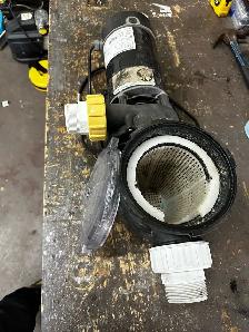 Dynamo 1HP Pool/Spa pump with strainer/leaf basket.