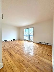CDN Superbe 4.5 disponible Avenue Barclay - Photo 7
