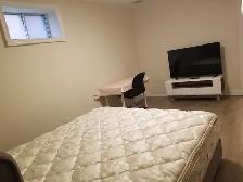 Furnished Luxury Newly Renovated Apartment for Rent - Photo 5