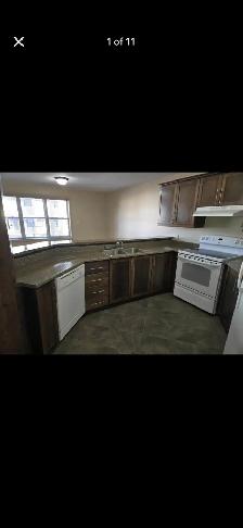 1 Bedroom Suite To rent for June 1st! - Photo 2