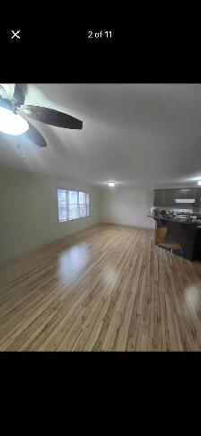 1 Bedroom Suite To rent for June 1st! - Photo 3