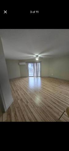 1 Bedroom Suite To rent for June 1st! - Photo 4