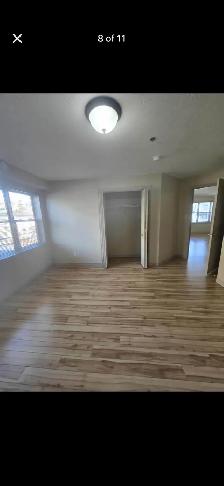 1 Bedroom Suite To rent for June 1st! - Photo 8
