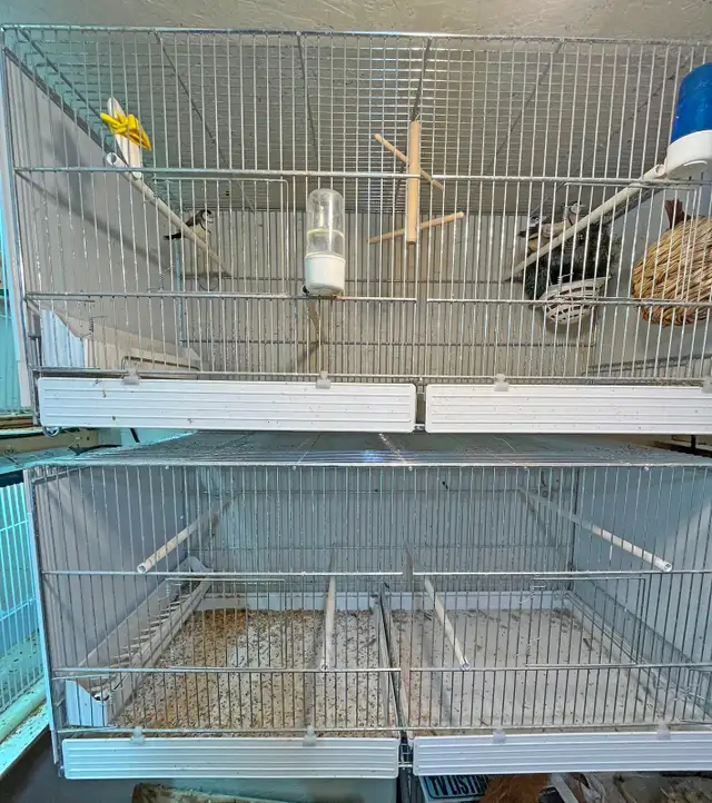 Small Bird Breeding Cage, $50 each