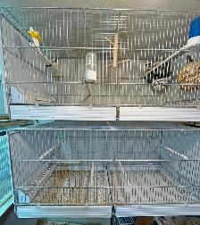 Small Bird Breeding Cage, $50 each