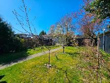 Bright & Spacious 2-Bedroom Suite for Rent! (Metrotown Area) - Photo 9