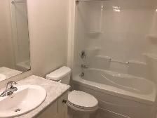 JULY 1ST-FURNISHED BASEMENT UNIT/BATH-ST THOMAS FANSHAWE COLLEGE - Photo 4