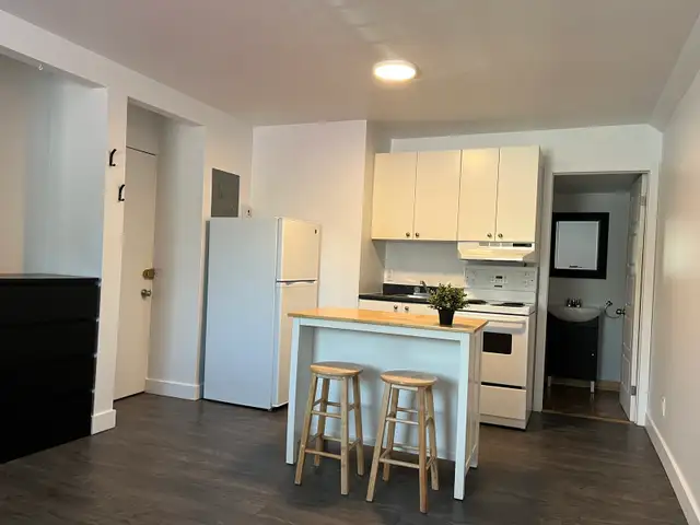 STUDIO LONGUEUIL $945