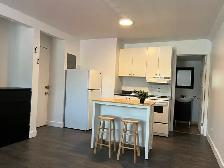 STUDIO LONGUEUIL $945