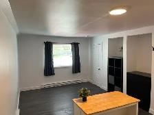 STUDIO LONGUEUIL $945 - Photo 3