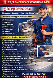 Licensed plumber