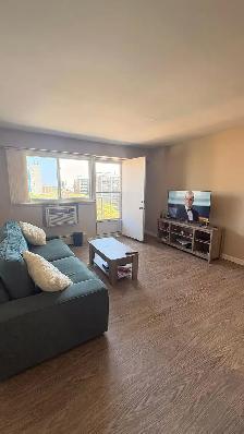 Beautiful 1-Bedroom Apartment for Lease Takeover