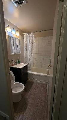 Beautiful 1-Bedroom Apartment for Lease Takeover - Photo 4