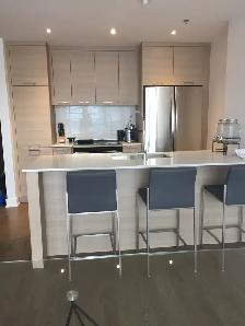 Condo a Louer Griffentown 3 1/2 - Photo 6