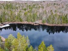 Terrain a vendre , directement sur le lac, pas de bateau moteurs - Photo 9