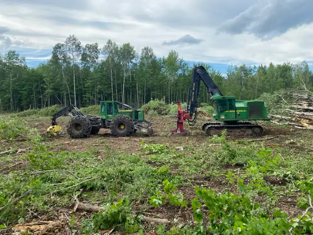 LAND CLEARING • TREE REMOVAL • ROAD BUILDING • LOGGING