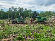LAND CLEARING • TREE REMOVAL • ROAD BUILDING • LOGGING