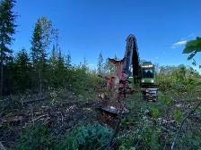 LAND CLEARING • TREE REMOVAL • ROAD BUILDING • LOGGING - Photo 3