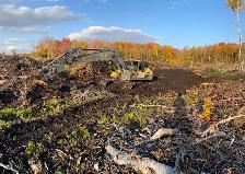 LAND CLEARING • TREE REMOVAL • ROAD BUILDING • LOGGING - Photo 5